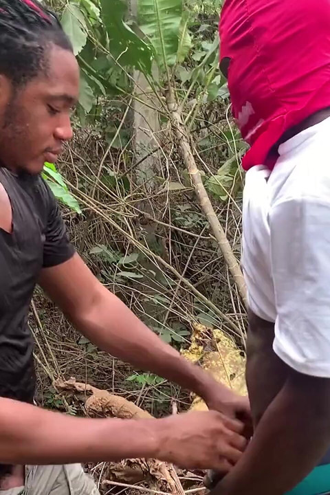 To Lovers Made Out in a Forest
