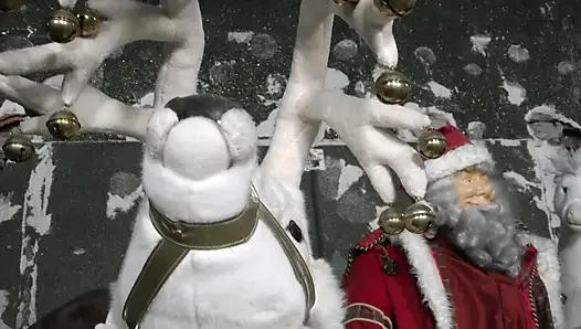 Christmas Special, Hairy Pussy 5408 1