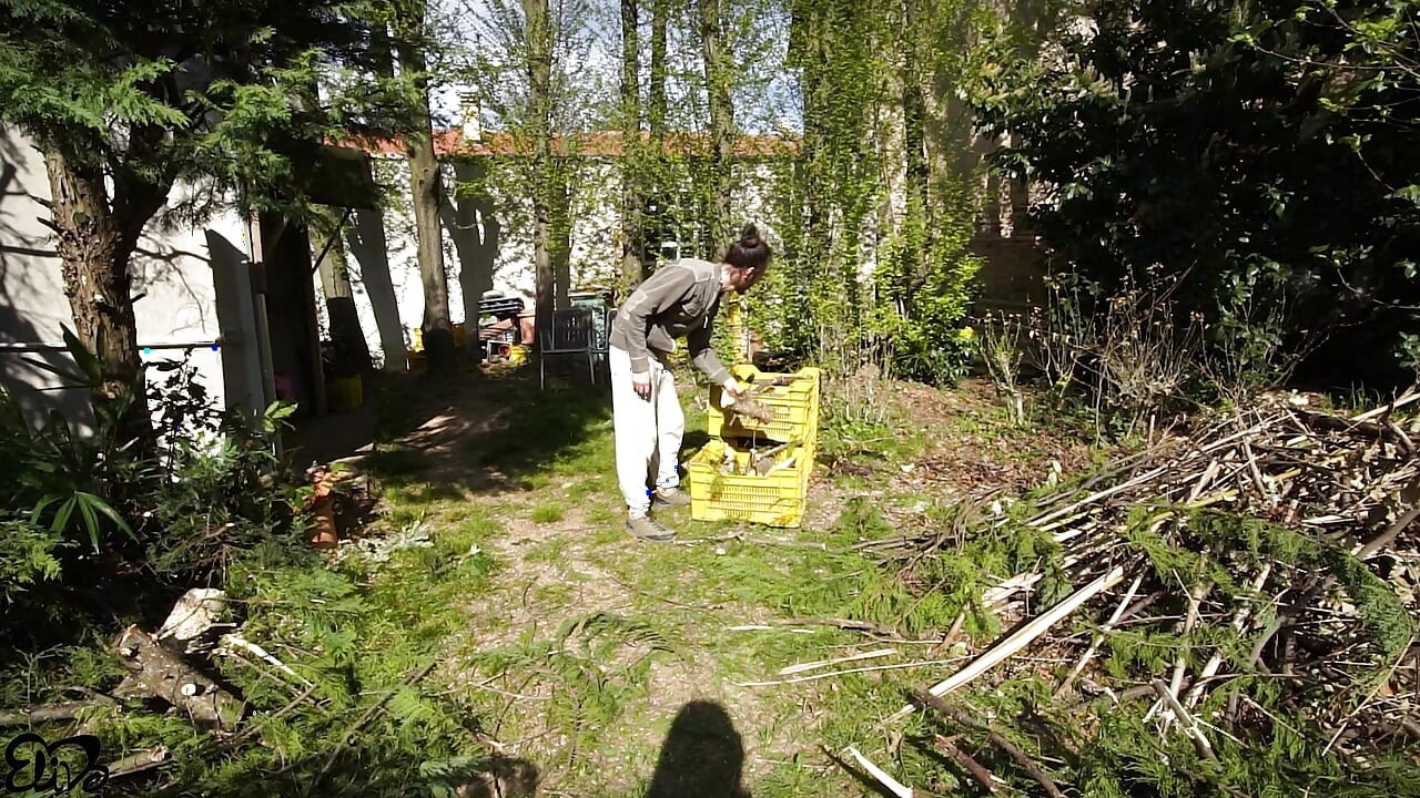 Looking for HARD TRUNKS to saw!(amateur sex in the woods)