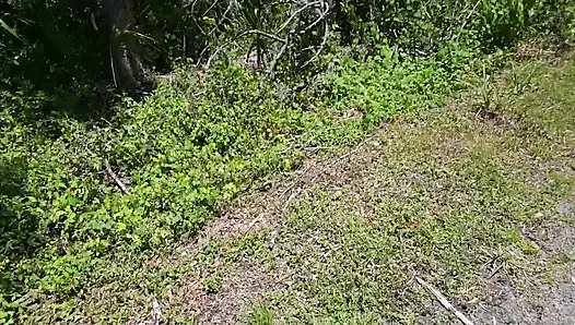 Видео на весь день