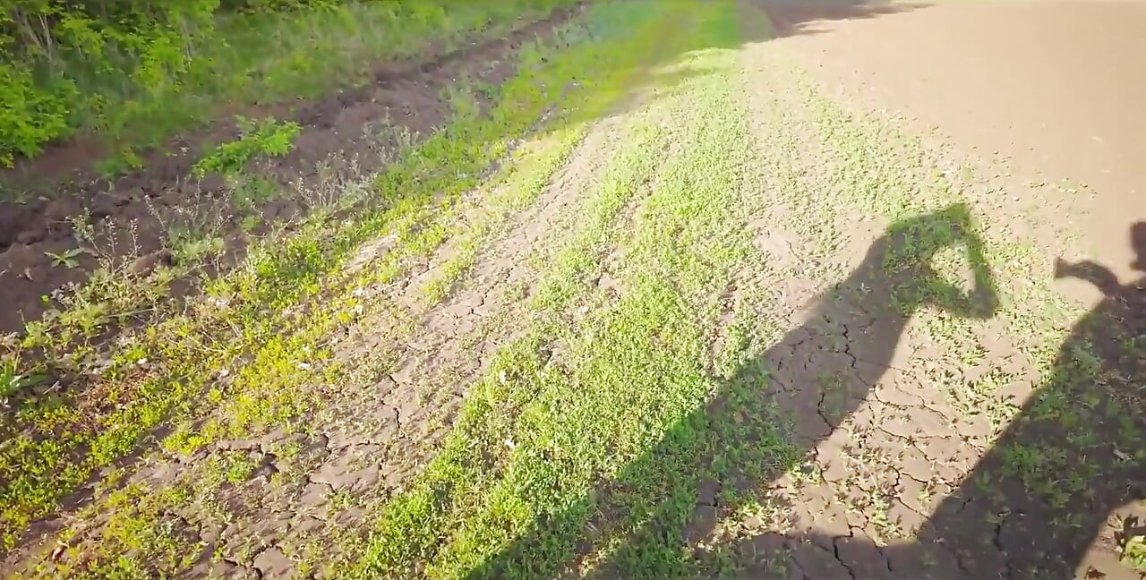 黑琳愛在車裡吸肥大的雞巴