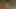 Video ön izlemesi