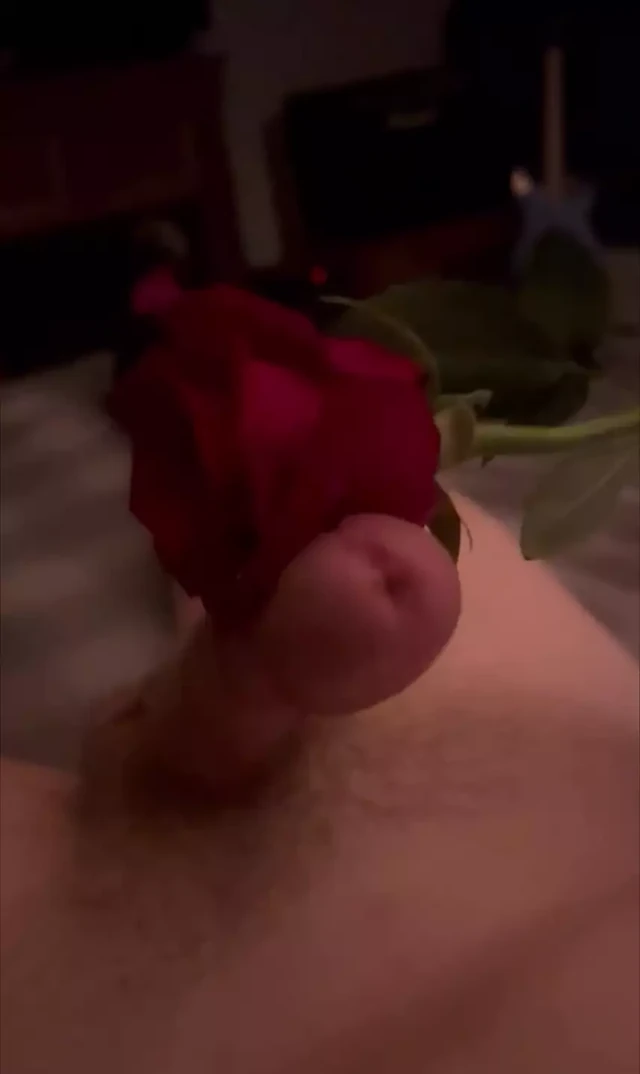 Edged by her rose