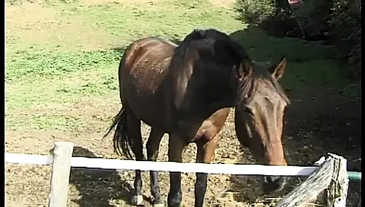 The Anal Desires of a Slut in Heat