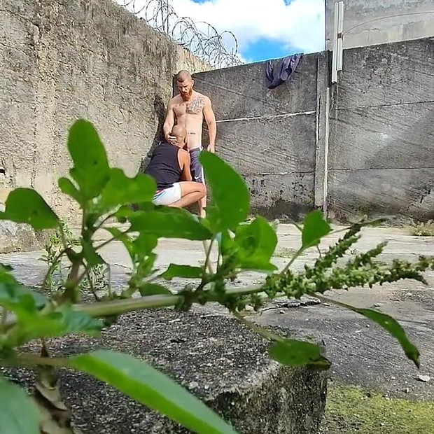 森の中のカメラが二人の異性愛者がセックスしている様子を撮影している