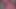 ブロンコ束