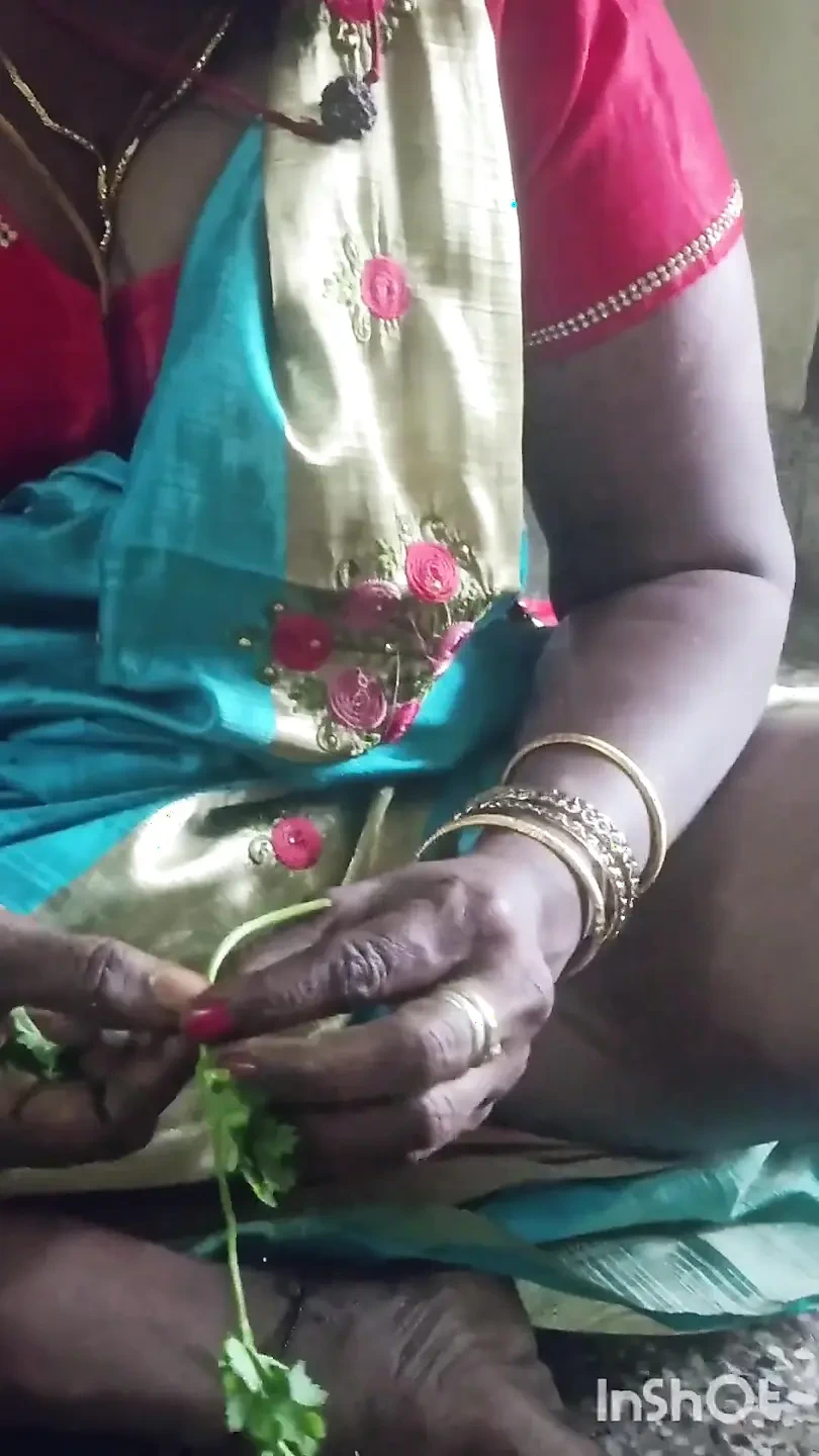 泰米尔阿克卡和坦比