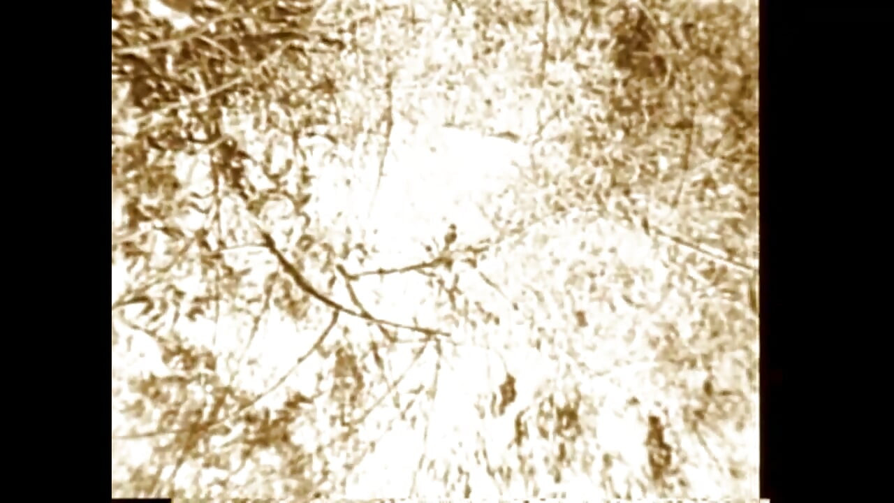 On the Grass Burning Foliage