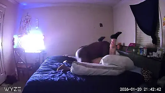 Schwangere ehefrau creampie