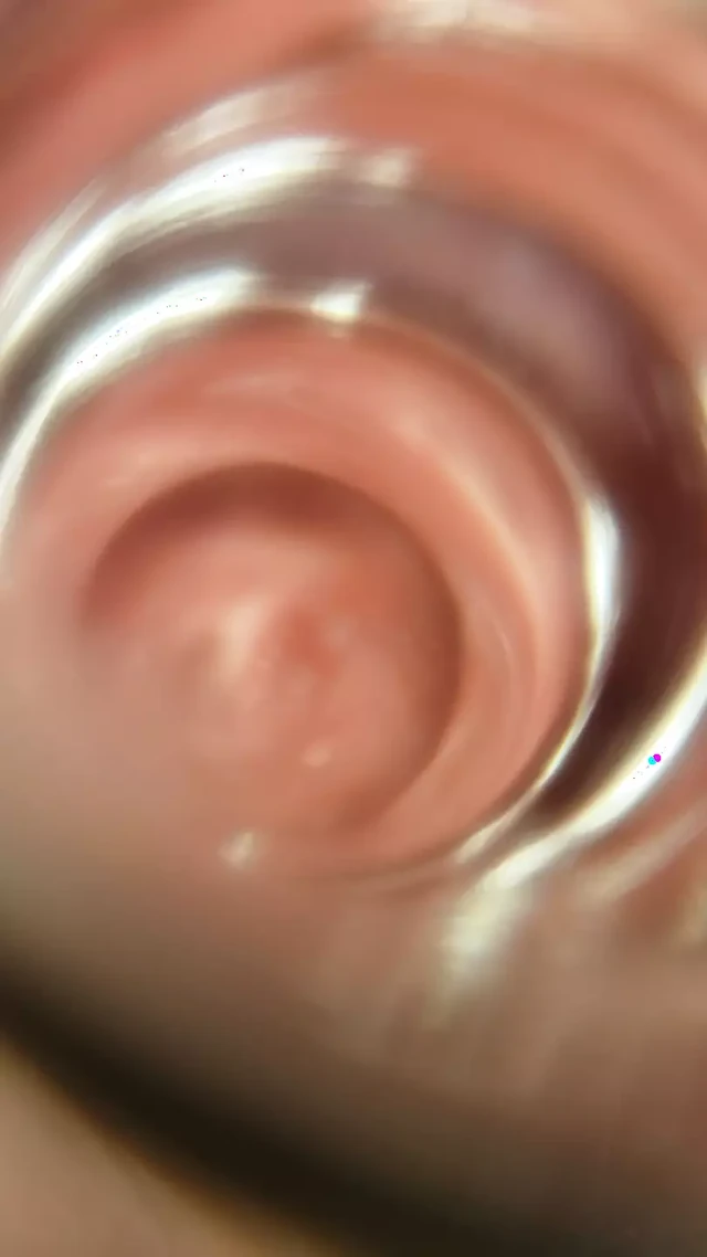 See Inside My Asshole with My Glass Butt Plug