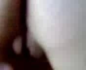 turkaylin 2