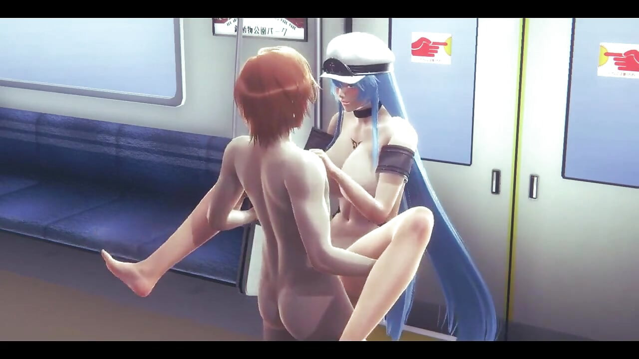 Akame Ga Hentai - Esdeat Sex in Train - Japonês asiático Manga Anime Film Game Porn