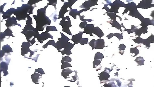 Berbagai duo sialan sangat terangsang