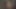 Riley Reid cumtribute 2