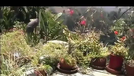 Pussy licking pussy fingering masturbating in the garden