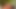 Ein typ mit einem riesigen bullen-bajonett kommt über diese kleinen titten der sexy schlampe