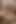 Güzel seksi kız klitorisine masaj yapıyor ve amında dildoyla eğleniyor