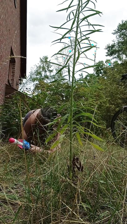 হ্যাম্বো পটার হট অবস্থায় আসছে