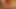 Watch me  jerk an cum