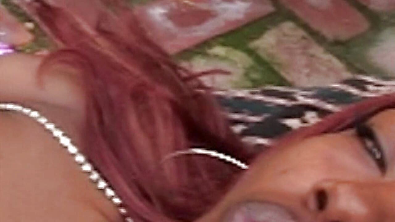 Leidenschaft überschreitet jede Grenze wenn Lust alles