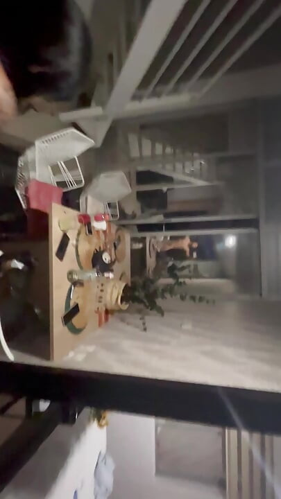 POV Blowjob Gât adânc Ejaculare dezordonată în gura cumnatei mele