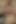 Vintage Orgy for Two Masked MILFs and Milly D'abbraccio Fucked and Cummed in Mouth by Big Cocks