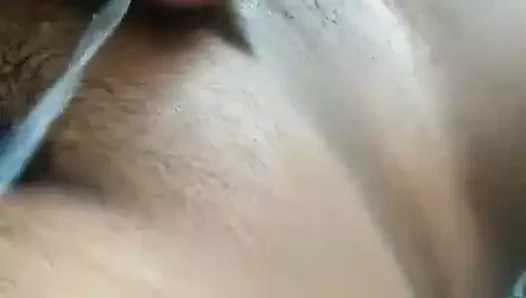 Döl dölleri