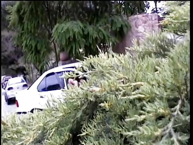 Sevimli esmer kadın sert sikilmeden önce dövmeli adamın yüzüne oturmayı seviyor