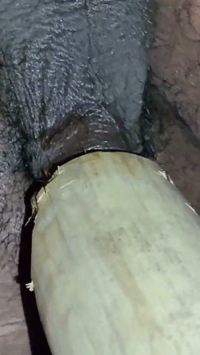 Indian Teen Boy Fucks a Bamboo Hole For enjoyment and Pours lot of cum inside it | Clip 3