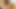 Çok ateşli esmer Hintli yarağımı amına sokmak için sertleştiriyor - porno