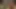 Lustige möpse mit Dämonen, Ai Animation