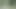 naked walk in forest