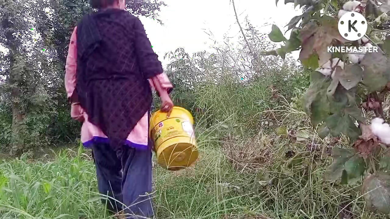 Chị kế đã kết hôn lừa dối chồng và bị cô ấy đụ