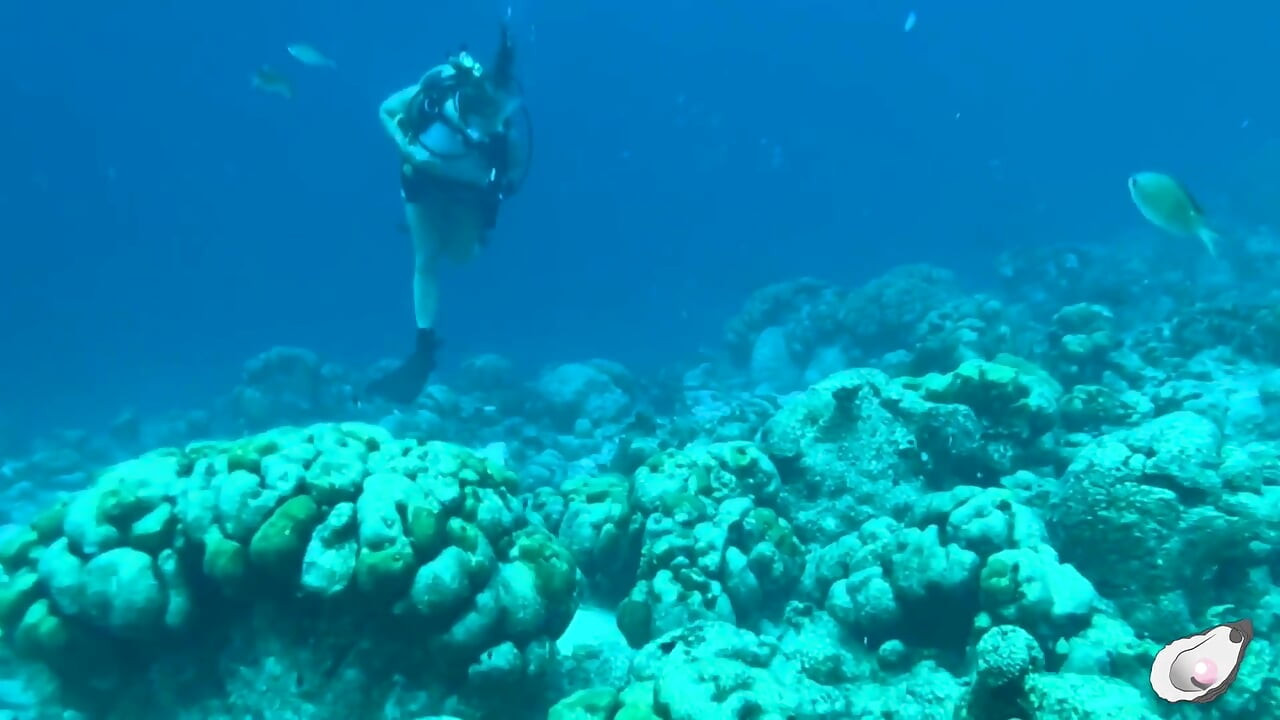 Alleen tijd op Bonaire