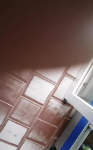 Ay Griselda tu cola y tus nalgotas me encantan