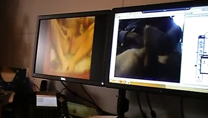 Seksi gnom447'ye haraç