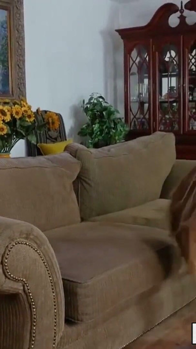 Nerdy Gracie May Green oral face sitting redhead stepmom | Clip 2