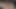 Altsız Hotkinkyjo mutfağı temizliyor ve amıyla oynuyor