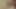 Mature mom has sex with her neighbor when her husband is not home