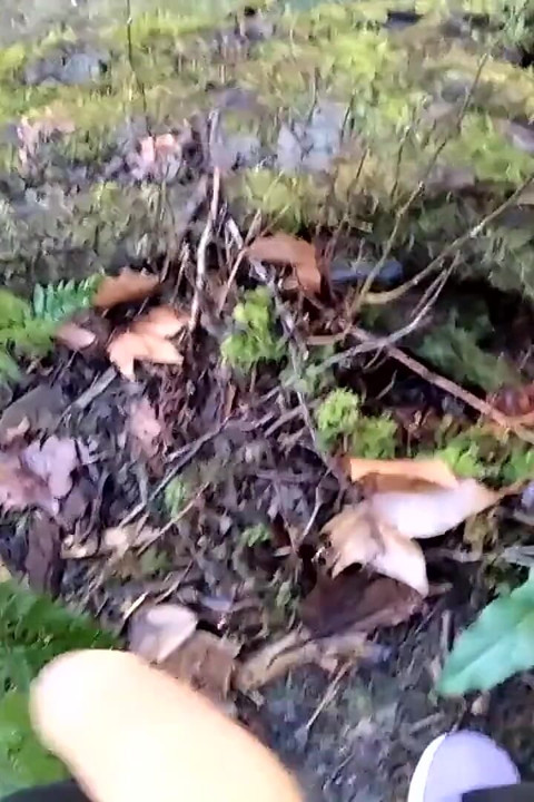 Dirty Handsome Boy Jerks His Delicious Big Cock in the Forest and the Tree Swallows His Cum