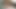 boy masturbating hard