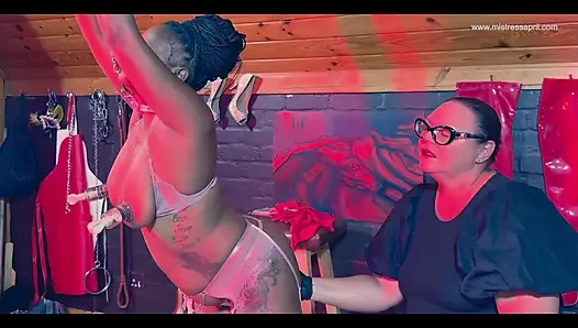 Собака Брюно идет на прогулки, подборка, трейлер