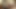 発情した女たちと 禁断性交する男のセックス映像 - Part.1