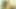 Kim Gold beni koltuk altı yalayan köle koltuk altı kızlarını sikiyor