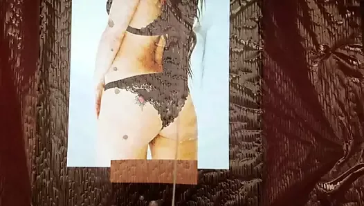 Wwe nikki bella cumtribute