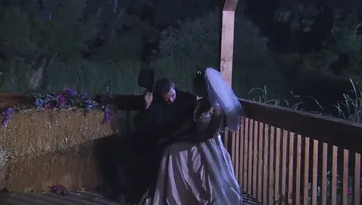 Yeni evli çift bal dolunaylarında şiddetle sikişiyor