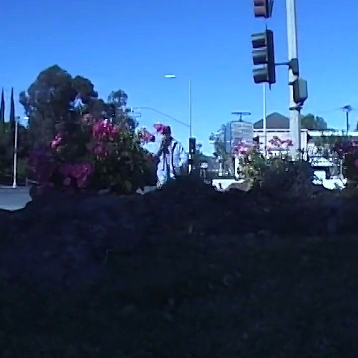 Monster tit milf picked up for outdoor fucking