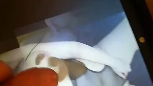 haraç