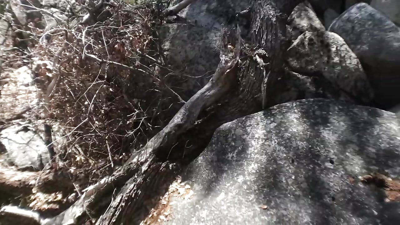 Hot couple ride motorcycle up mountain to fuck!