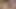 Hot Girlfriend Pussy Eaten and gets Hard Toying